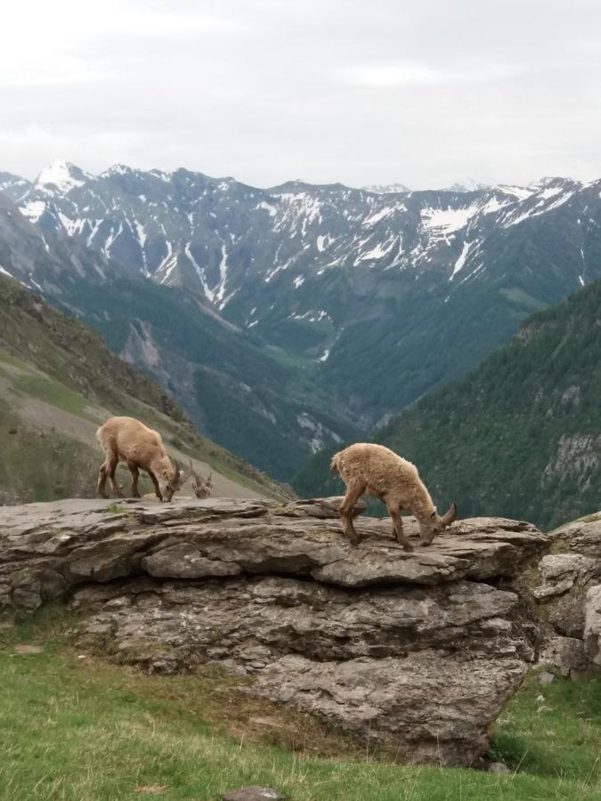 Vacances A La Montagne Saint-Julien-en-Champsaur 外观 照片
