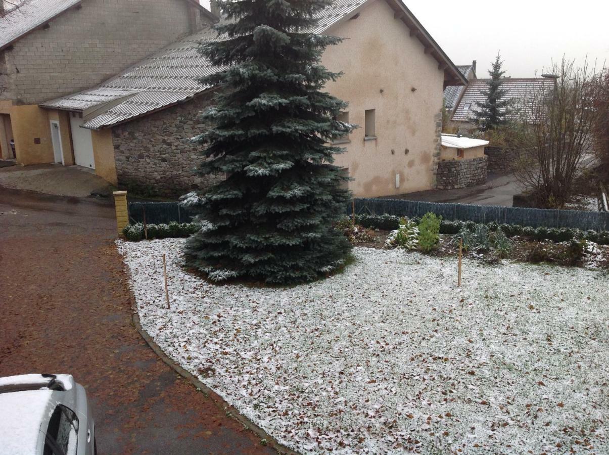 Vacances A La Montagne Saint-Julien-en-Champsaur 外观 照片